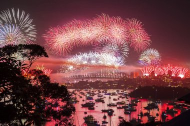 Yeni yıl fireworks uygulamasında üzerinde liman gece gökyüzü 