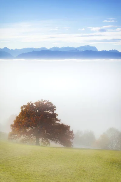 Nebbia con le alpi sullo sfondo — Foto Stock