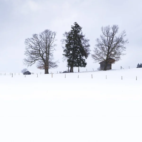 Uma paisagem coberta de neve com três cabanas — Fotografia de Stock