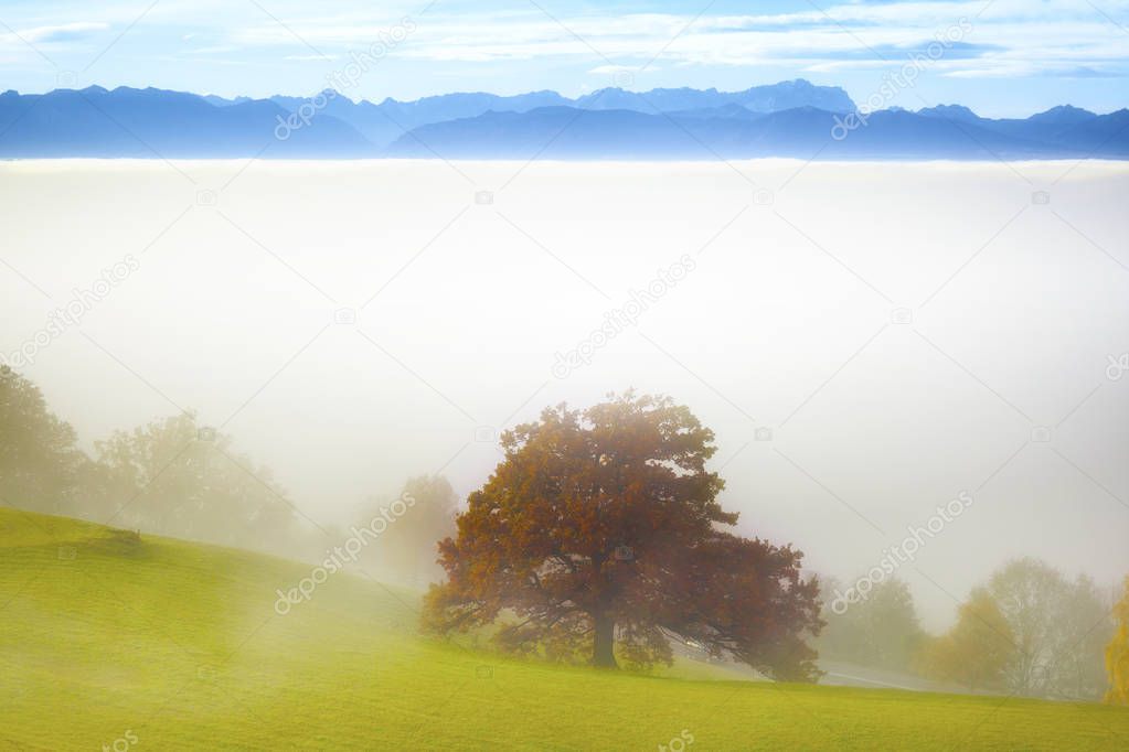  fog with the alps in the background