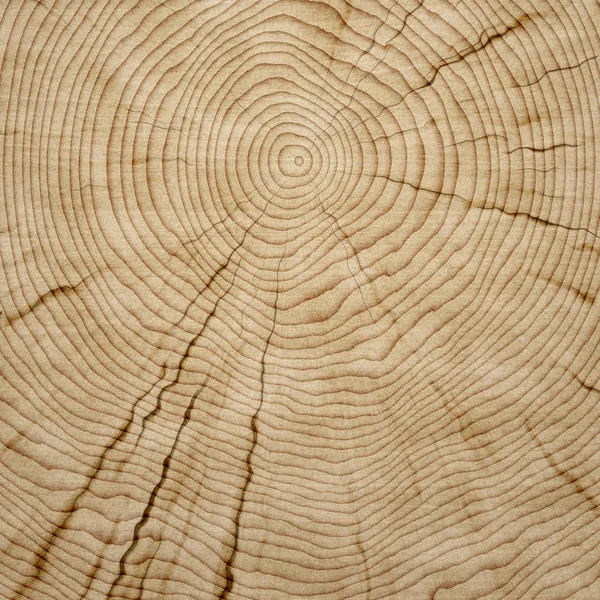 Holz Geschnitten Hintergrund Textur — Stockfoto