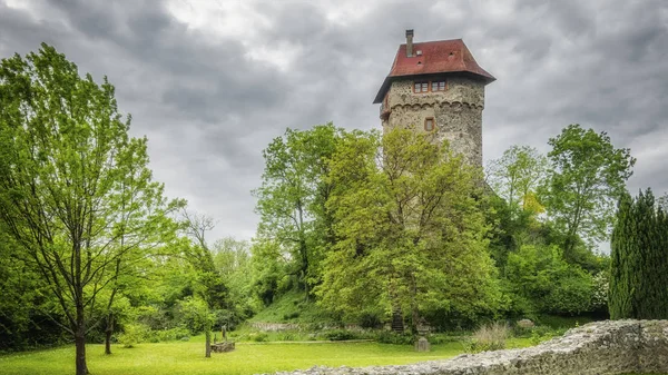 Πύργος Φρούριο Sponeck Γερμανία — Φωτογραφία Αρχείου