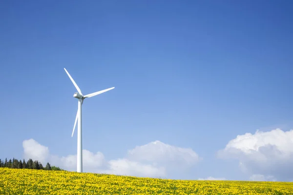 Енергетична Турбіна Вітру Ландшафті — стокове фото