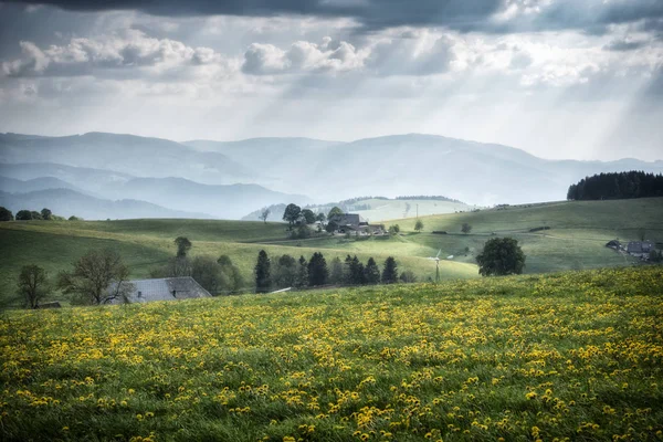曇りの背景に花や家での牧草地の表示 — ストック写真