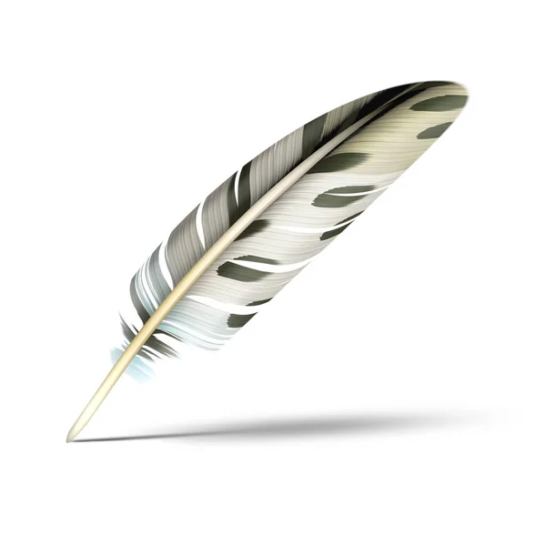 Illustration Beautiful Feather Shadow White — Stockfoto