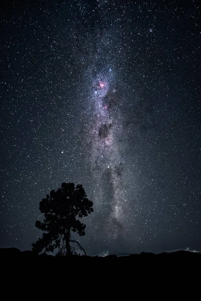 Uma Imagem Uma Árvore Abaixo Céu Noite Caminho Leitoso Nova — Fotografia de Stock