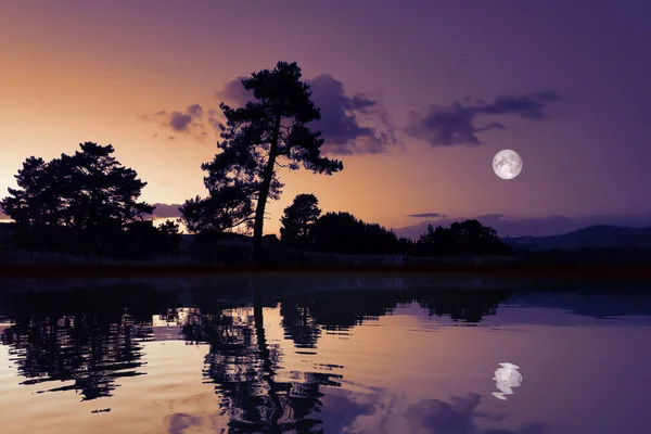 Uma Imagem Uma Bela Lua Com Reflexos Lago Paisagem Escura — Fotografia de Stock