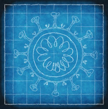 Covid 19 Corona virüsünün bir çizimi