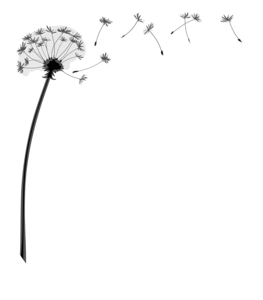 Illustration Une Fleur Pissenlit Aux Graines Volantes — Image vectorielle
