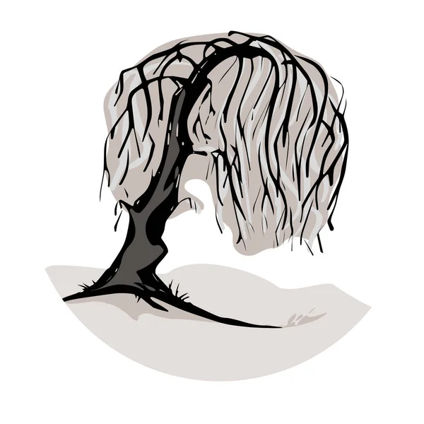 Illustration Weeping Willow Tree Symbol Royalty Free Stock Vectors