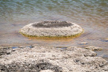 Stromatolites Gölü 'nün bir görüntüsü Batı Avustralya