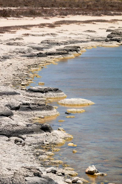 Una Imagen Stromatolites Lake Thetis Australia Occidental —  Fotos de Stock