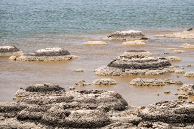 Stromatolites Gölü 'nün bir görüntüsü Batı Avustralya