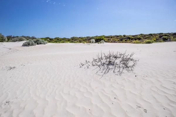 澳大利亚西部白色沙丘风景的图像 — 图库照片