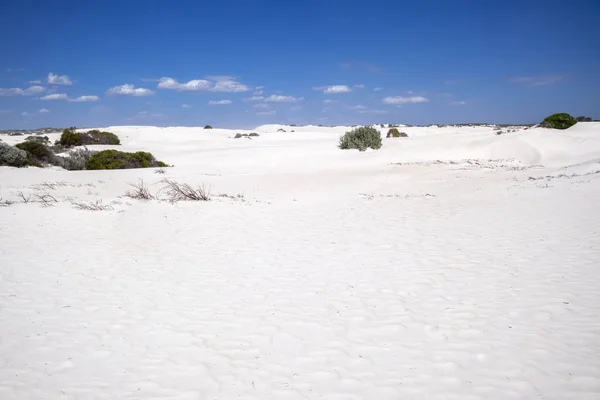 Immagine Dune Bianche Paesaggio Sabbia Occidentale Australia — Foto Stock