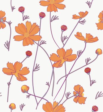 Turuncu kozmos çiçekleri