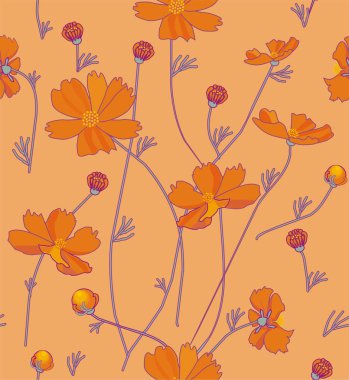 Turuncu kozmos çiçekleri