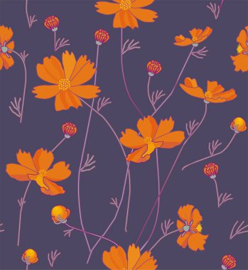 Turuncu kozmos çiçekleri