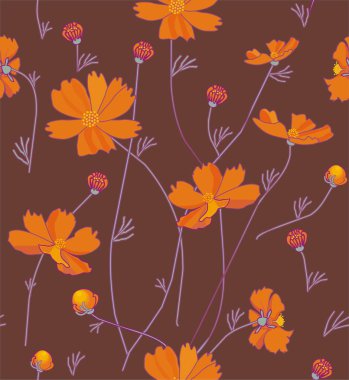 Turuncu kozmos çiçekleri