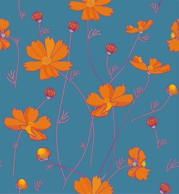 Turuncu kozmos çiçekleri