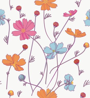 Cosmos çiçek turuncu ve mavi