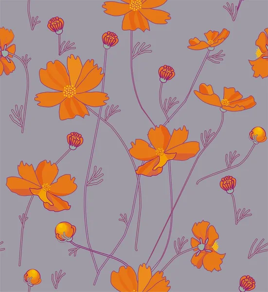 Narancssárga cosmos virágok — Stock Vector