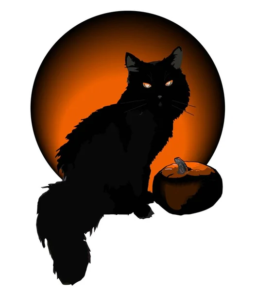 Black Cat en pompoen in cirkel voor Halloween — Stockvector