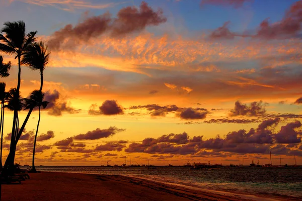 Bellissimo tramonto tropicale — Foto Stock