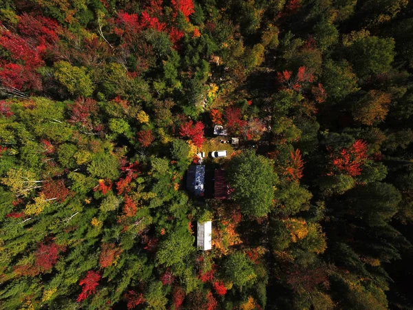 Aérea de casa de campo en el bosque —  Fotos de Stock