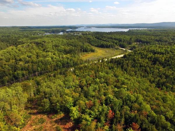 Antenn av vacker skog med sjön — Stockfoto