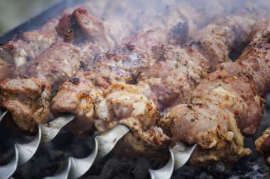 ızgara Caucasus Barbekü duman. Sığ derinlik-in tarla