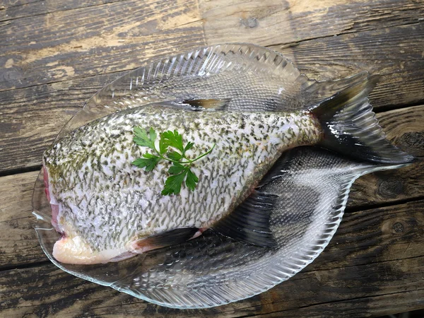 Grande orata di pesce fresco — Foto Stock