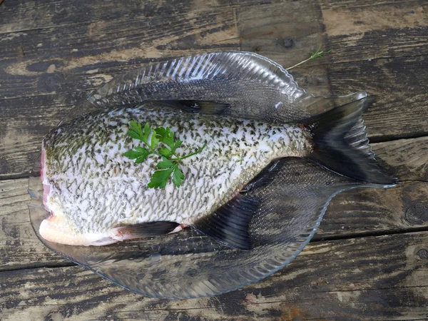 Grande brème de poisson frais — Photo