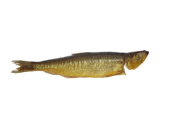 Smoked herring isolated — Stock Photo, Image