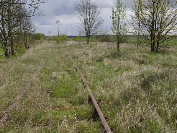 Oude roestige railroad tracks — Stockfoto