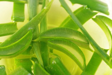  Aloe yaprak suyu