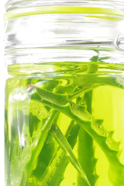 Aloe leaf in juice — Stock Photo, Image