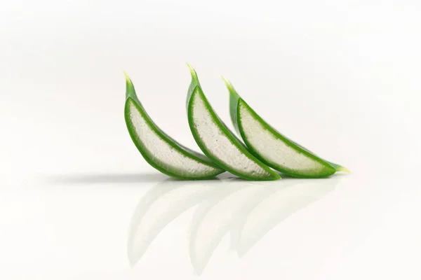 Blätter der Aloe isoliert — Stockfoto