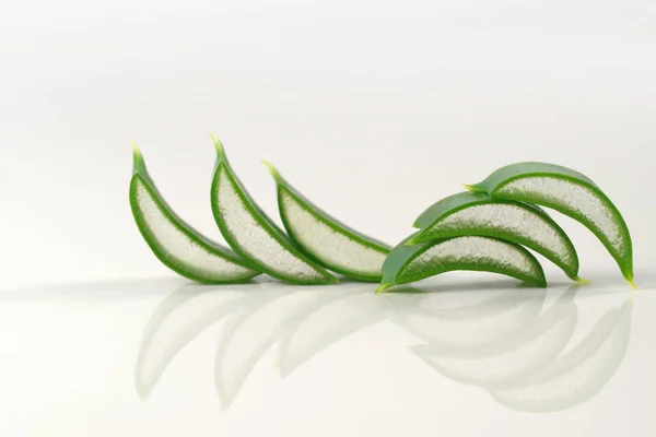 Blätter der Aloe isoliert — Stockfoto