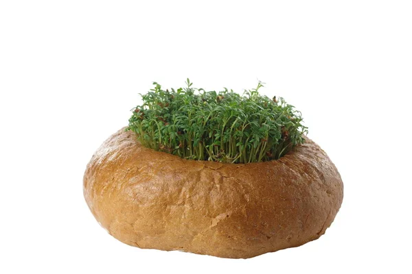 Круглі сухий хліб — стокове фото