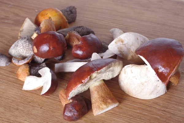 切开食用蘑菇 — 图库照片
