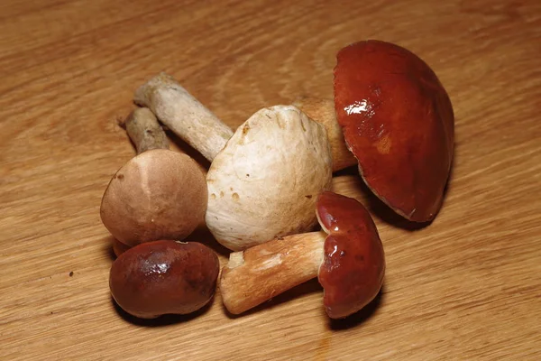 切开食用蘑菇 — 图库照片
