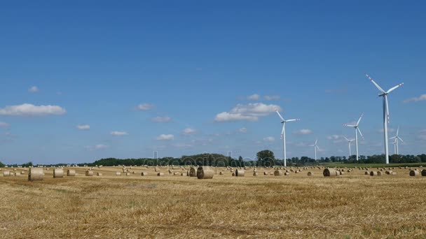 Wind turbine on meadow — Stock Video