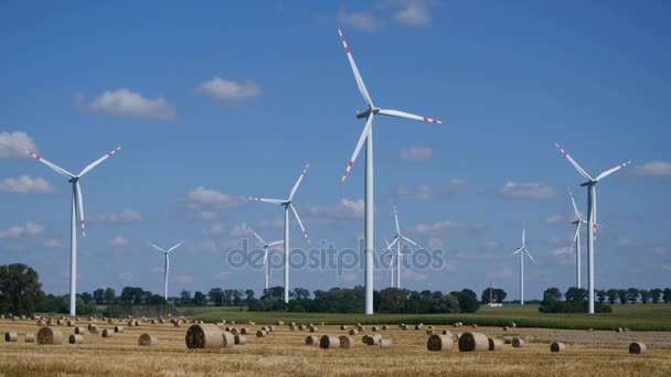 Windturbine op weide — Stockvideo