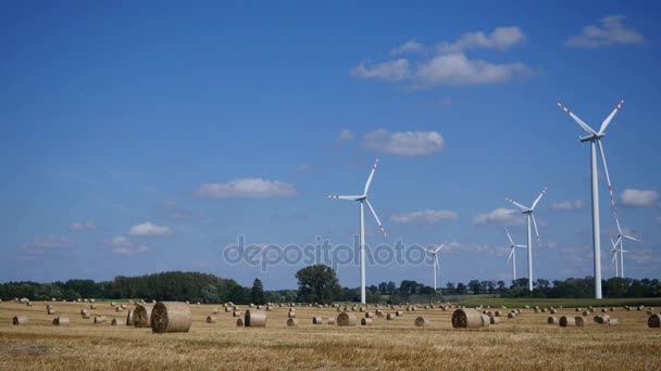 Turbin angin di padang rumput — Stok Video