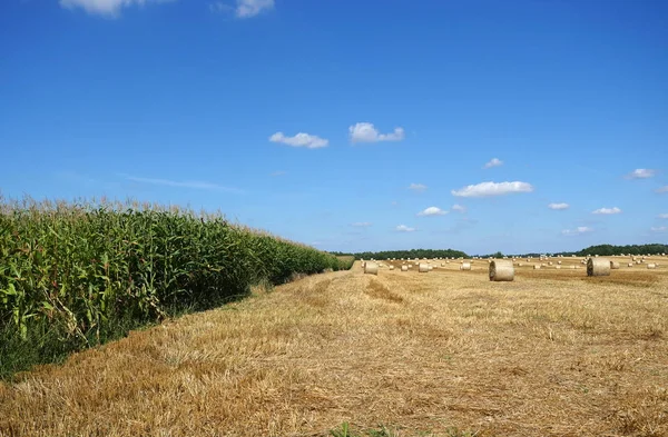 Rotolo di fieno — Foto Stock