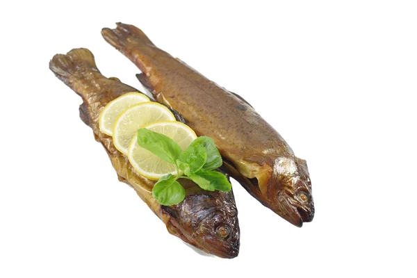 Trota affumicata con basilico — Foto Stock