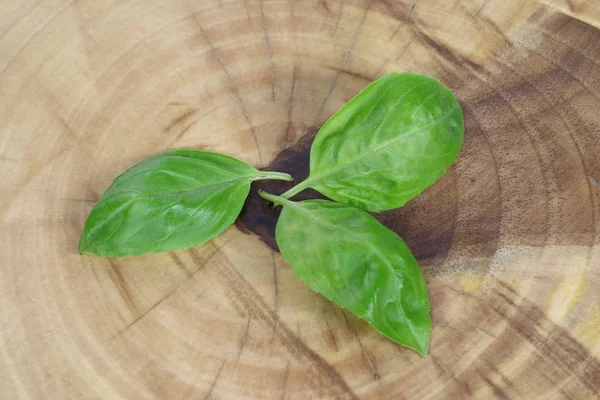 Drie Groene Basilicum Kofferbak — Stockfoto