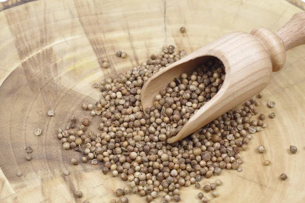 Dry Coriander Seeds Wooden Spoon — Stock Photo, Image