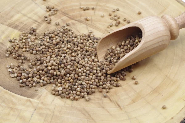 Dry Coriander Seeds Wooden Spoon — Stock Photo, Image
